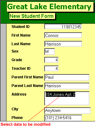 Great Lake Elementary form record with data selected for editing