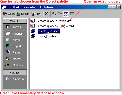 Query dialog box