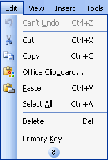 Edit Menu