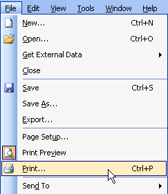 Print OPtion Under File Menu