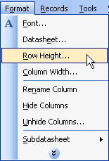 Format and Row Heigh Menu Selections