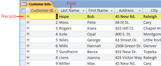 Data in an Access Customer Info Table