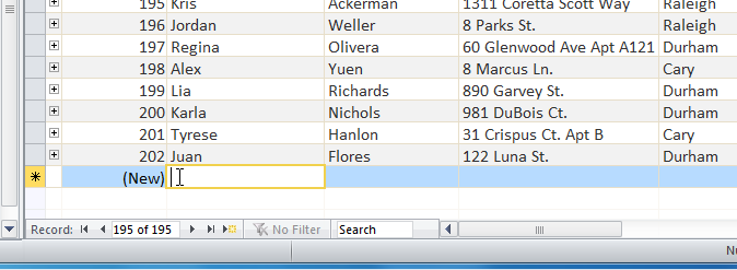Adding a new record by typing below the last record