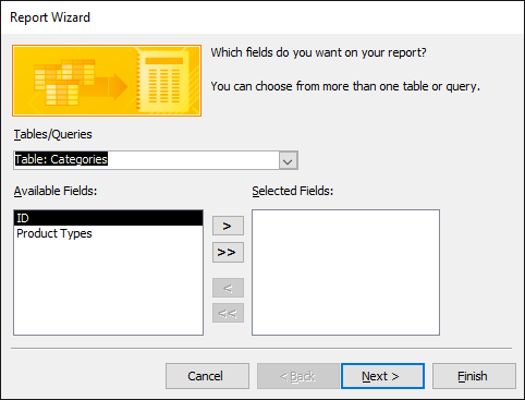 The Report Wizard dialog box