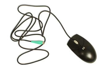 a computer mouse