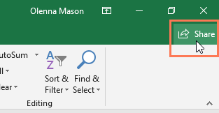 screenshot of the Share button in Microsoft Excel