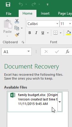 The Document Recovery pane