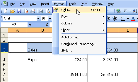 Format and Cells Menu Selections