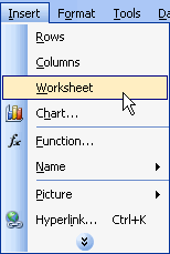 Insert and Worksheet Menu Selections