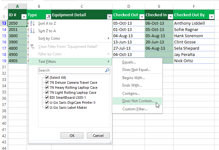 Screenshot of Excel 2013