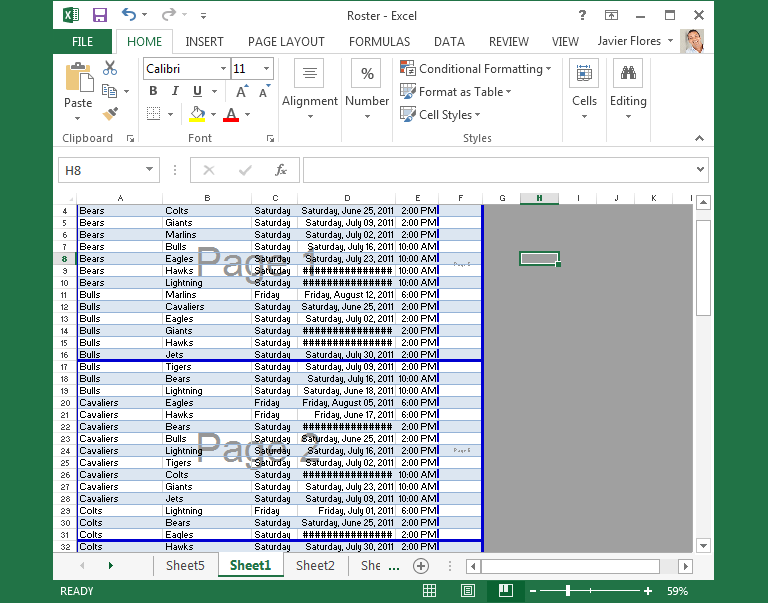 Screenshot of Excel 2013