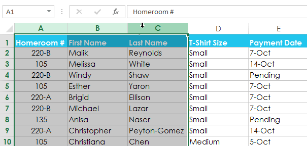 Screenshot of Excel 2013