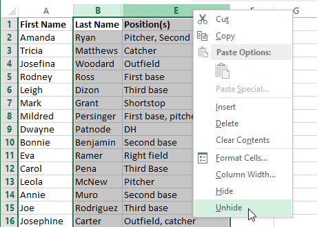 Screenshot of Excel 2013