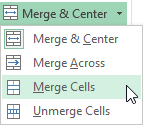 Screenshot of Excel 2013