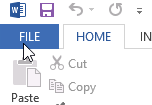 Screenshot of Office 2013