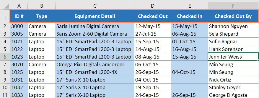 The header row in a spreadsheet