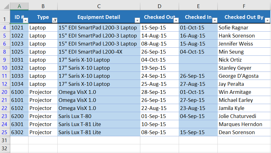 The worksheet is now filtered