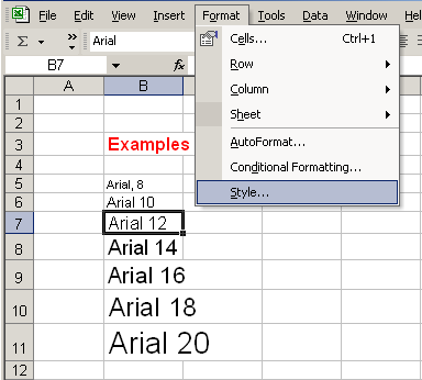 Format and Style Menu Selections