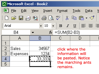 Paste the Copied Information