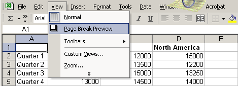 View and Page Break Preview Menu Selections