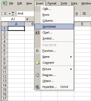 Insert and Worksheet Menu Selections