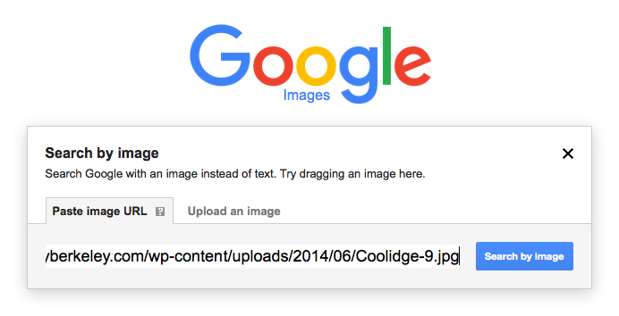 Paste image URL