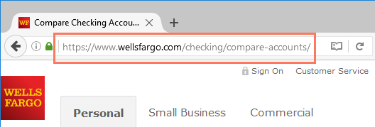 a highlighted domain name in the address bar