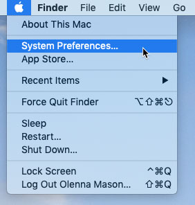 screenshot of selecting System Preferences from the Apple menu