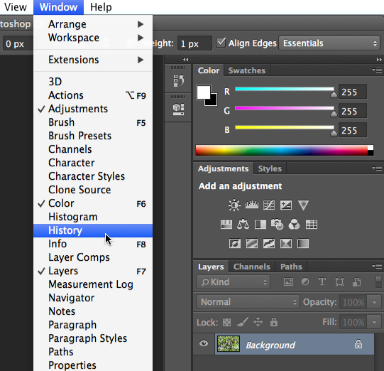 Screenshot of Adobe Photoshop CC