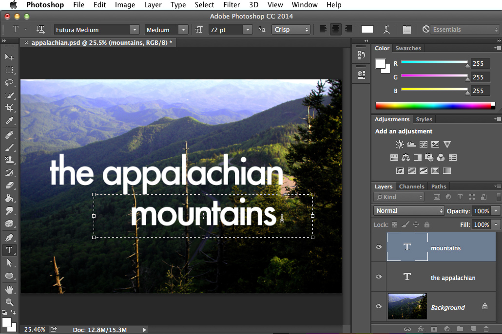 Screenshot of Adobe Photoshop CC