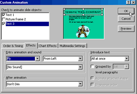 Custom Animation dialog box