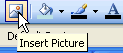 Insert picture button