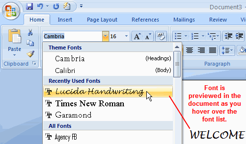 Word 2007 Screenshot