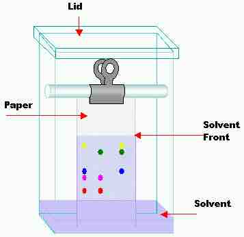 Schematic of paper chromatography