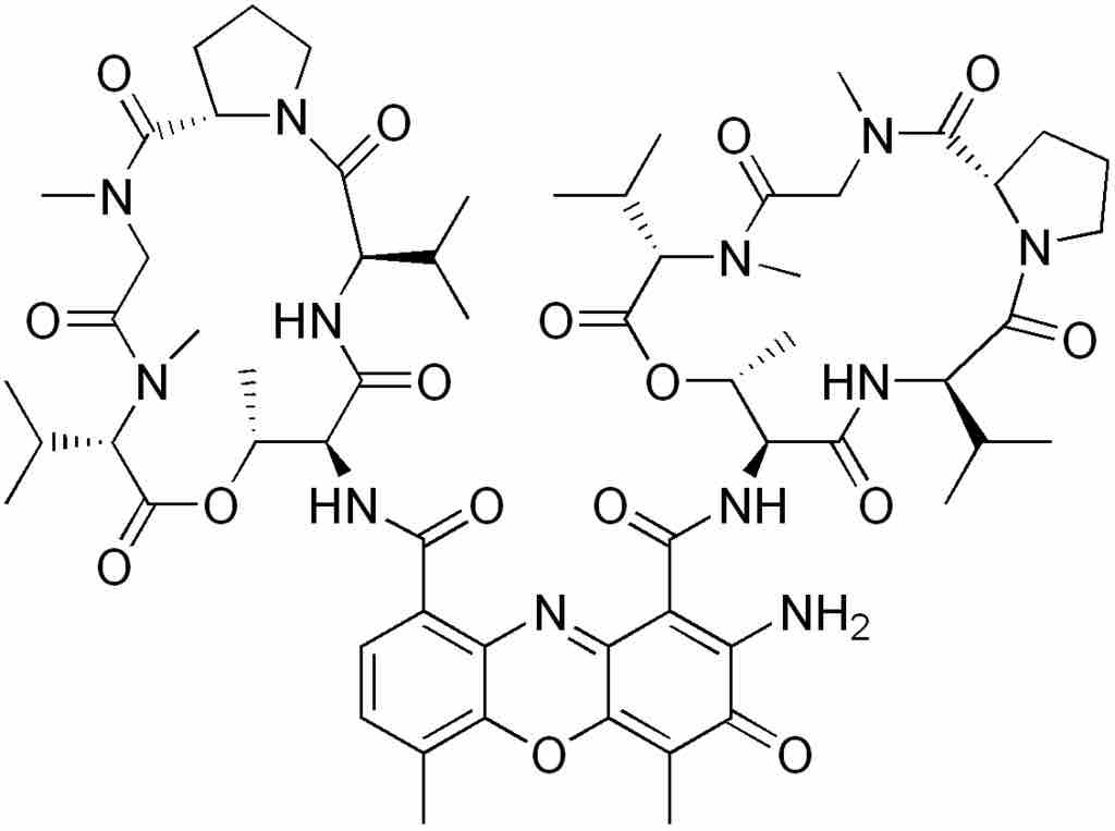 Actinomycin D