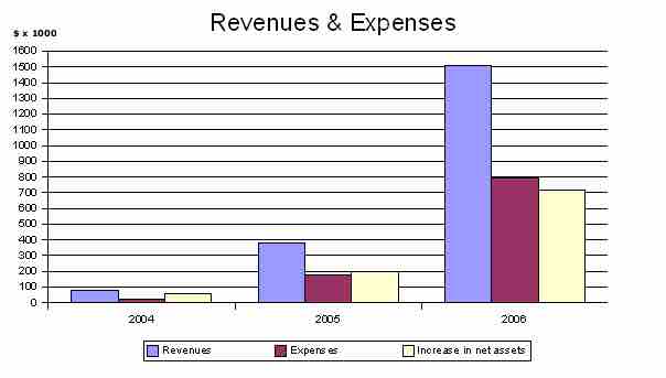 Revenues and Expenses