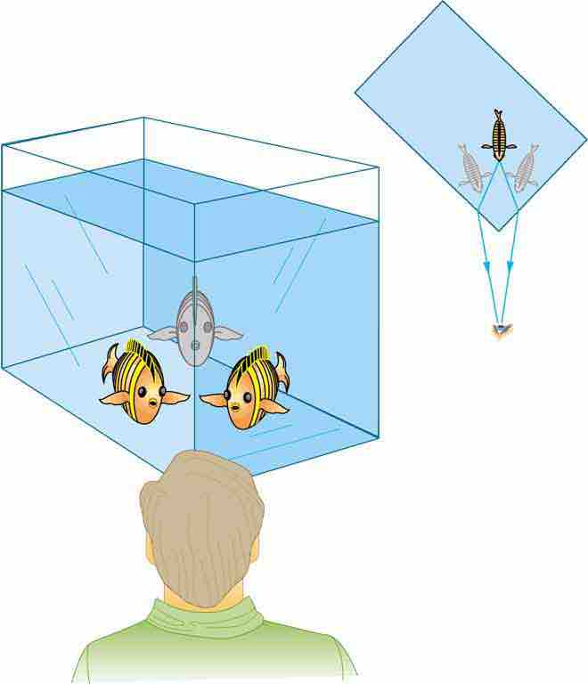 Law of Refraction