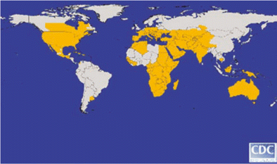 Global distribution of West Nile virus