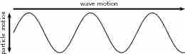 Transverse Wave