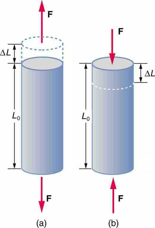 Tension/Compression