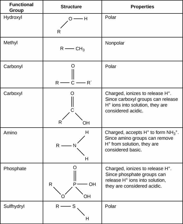 Examples of functional groups