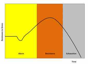 Eneral adaptation syndrome