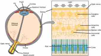 Figure 36 05 02