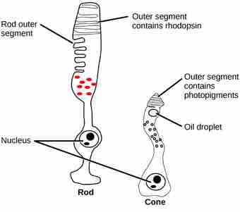 Figure 36 05 03