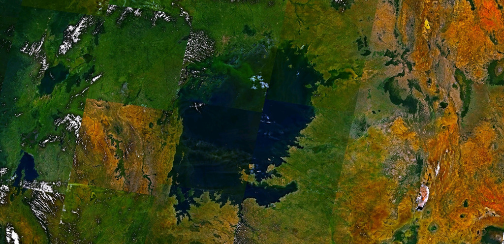 Lake Victoria and biodiversity loss