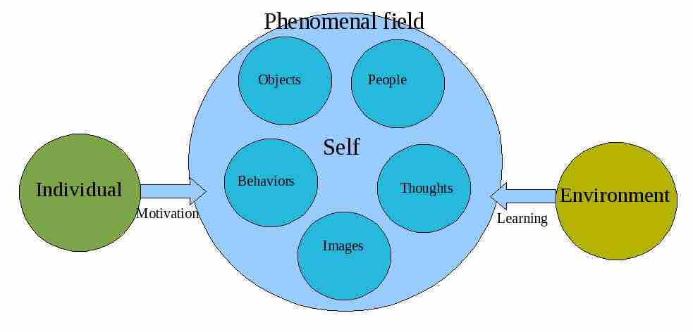 The phenomenal field