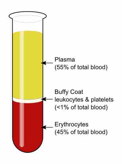 Blood sample after centrifugation
