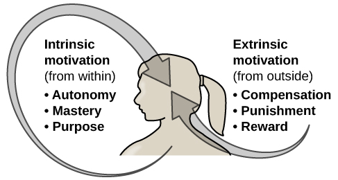 Intrinsic and Extrinsic Motivation