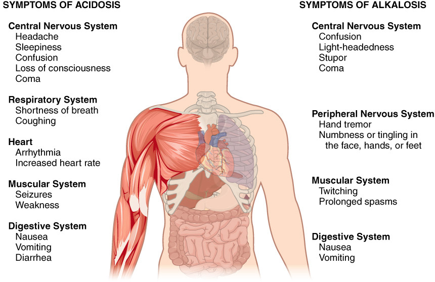 Some Symptoms of Acidosis and Alkalosis