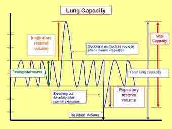 450px lungcapacity